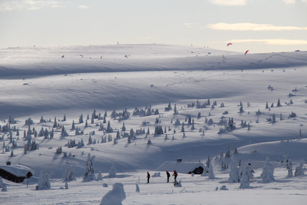 «35 turer i verdens beste skiterreng» 