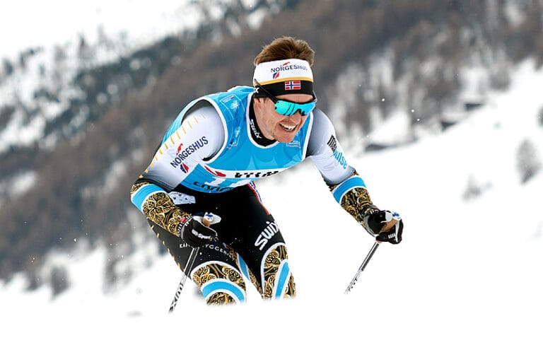 NY SEIER TIL VETLE THYLI