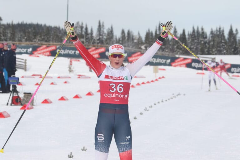 Bronse til Brusveen-Jensen