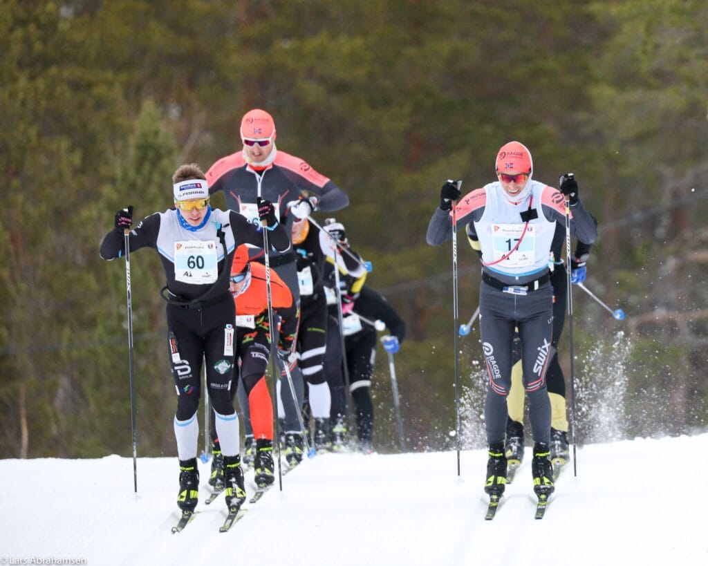 Arctic Alta Skimaraton