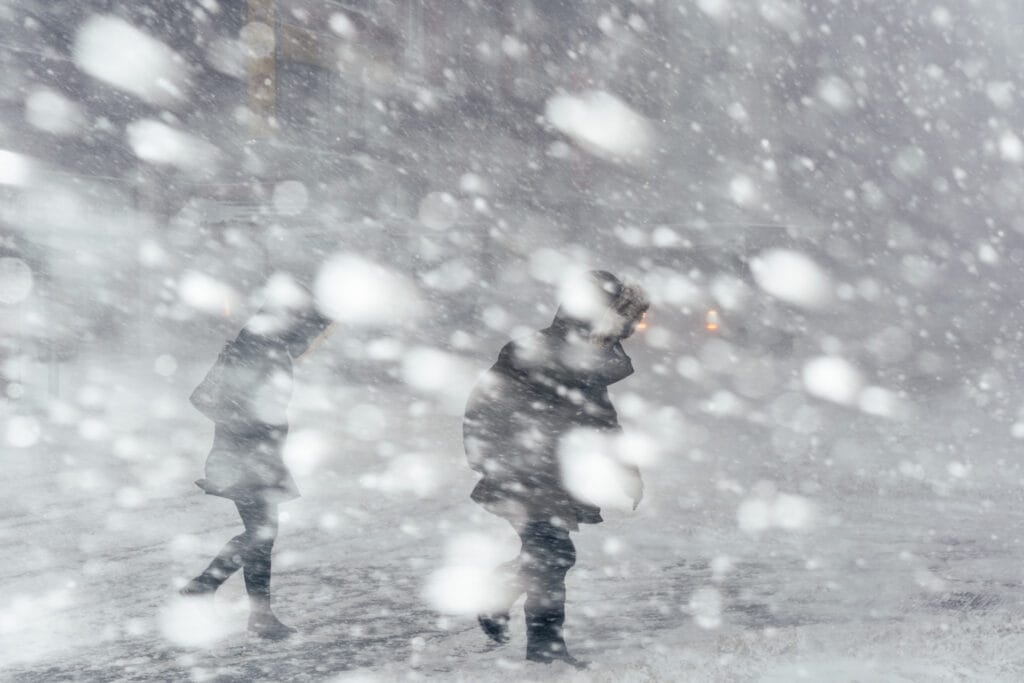 Blizzard - snøstorm snøkaos snø
