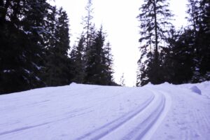04.11.2025, Davos, Switzerland (SUI): Feature: Track atmosphere - Biathlon training, snowfarming track, Davos (SUI).