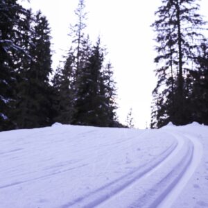 04.11.2025, Davos, Switzerland (SUI): Feature: Track atmosphere - Biathlon training, snowfarming track, Davos (SUI).