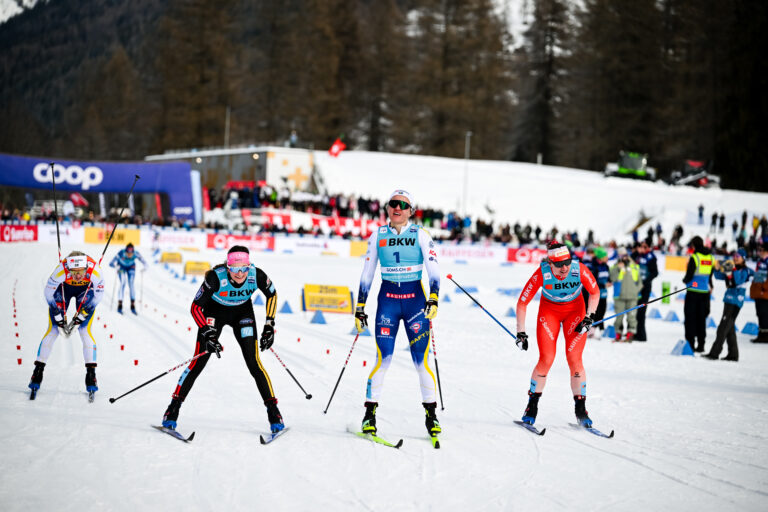 Authamayou/NordicFocus