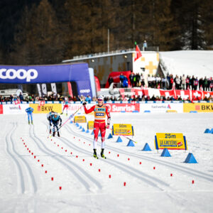 Authamayou/NordicFocus