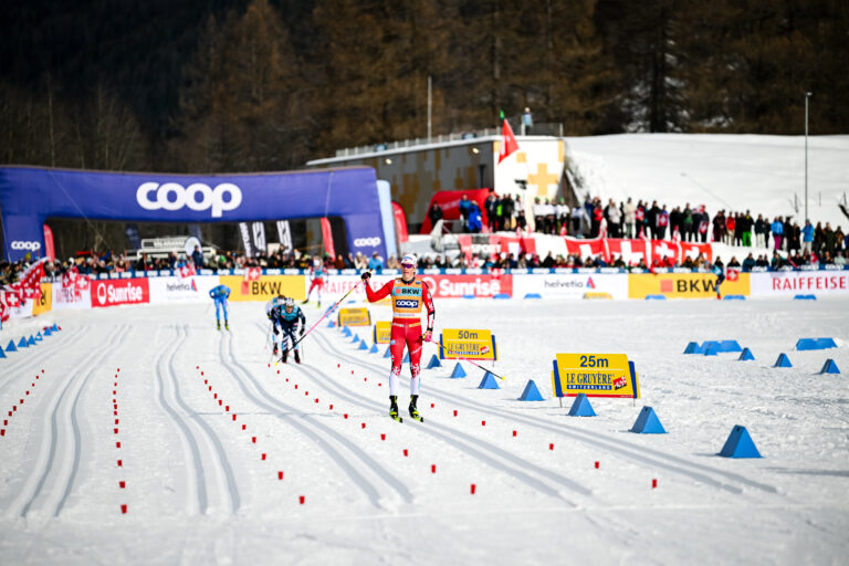 Authamayou/NordicFocus