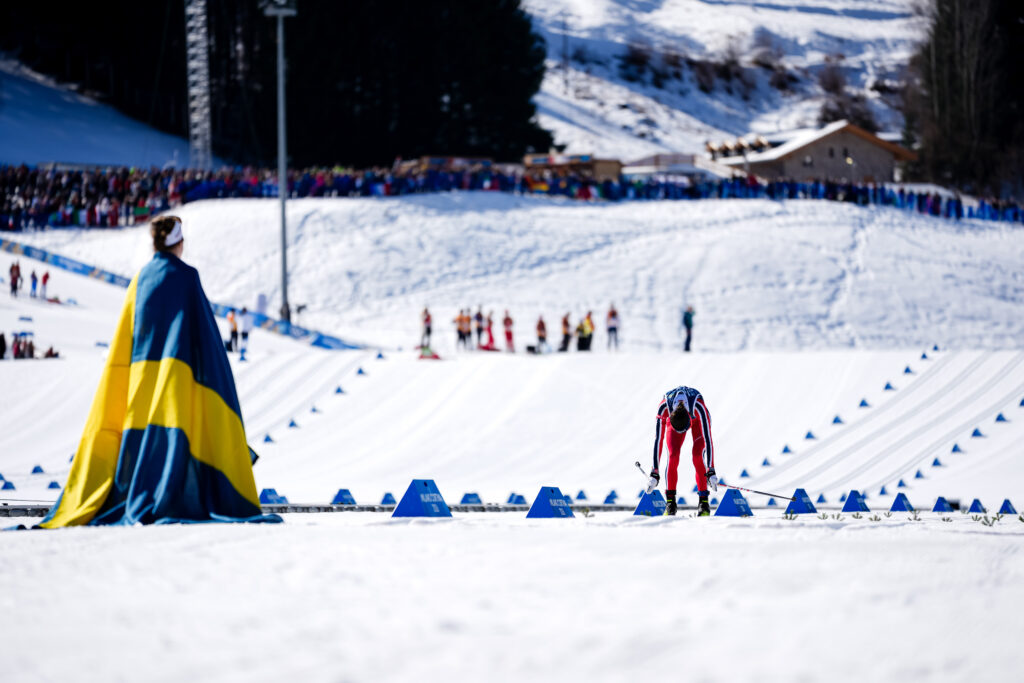 Vanzetta/NordicFocus