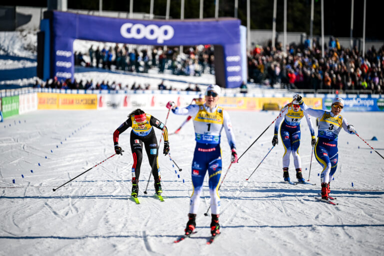 Authamayou/NordicFocus