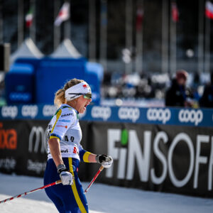 Authamayou/NordicFocus